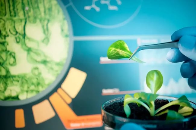 Biotech