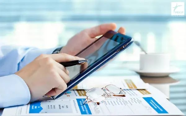 preparing-transfer_pricing-documentation-extended