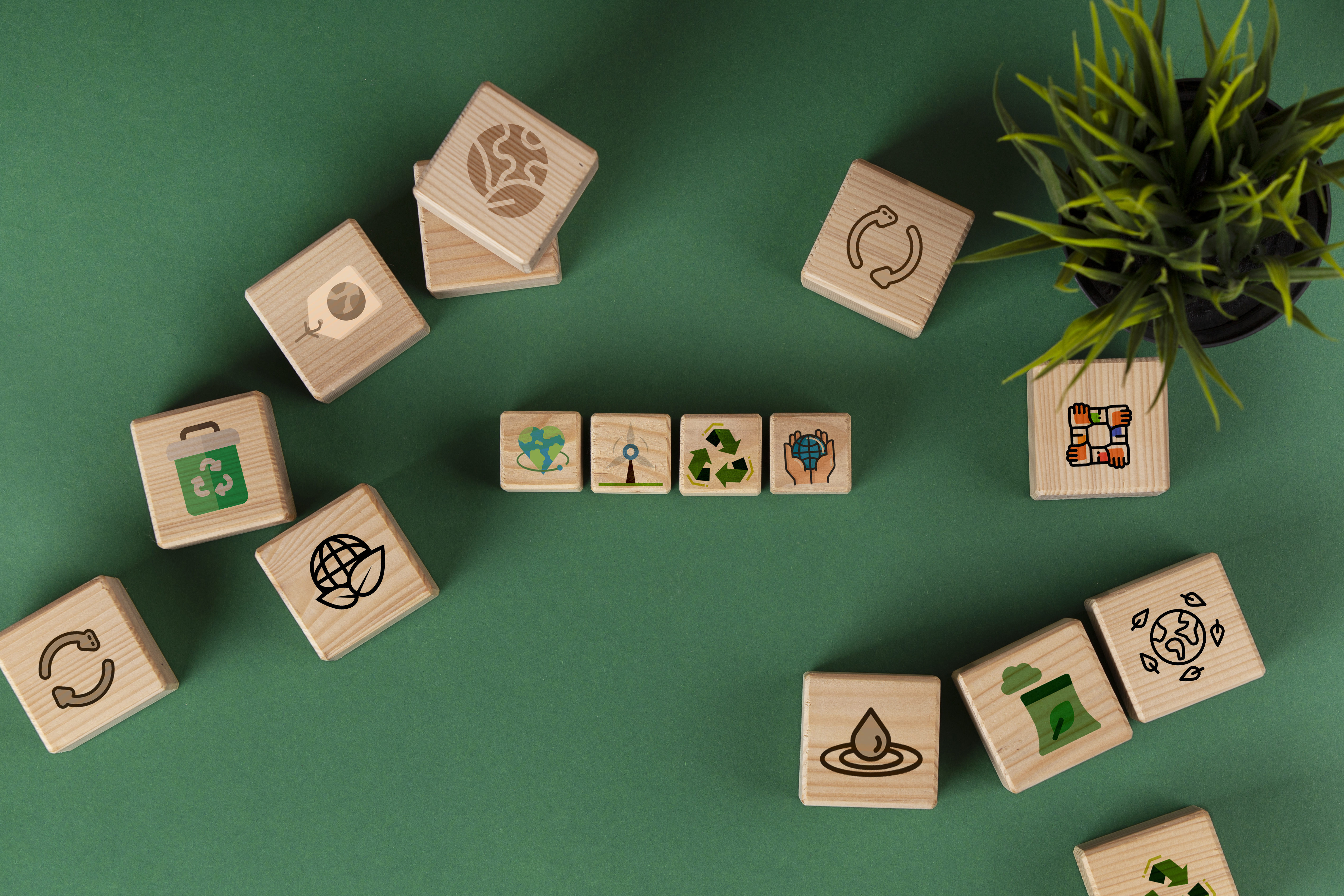 sustainable-development-goals-still-life