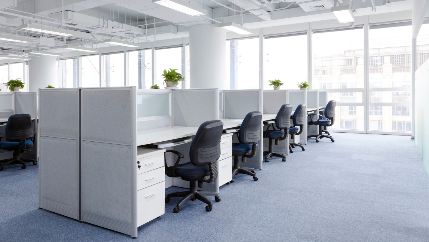 projekt-bez-nazwy-25