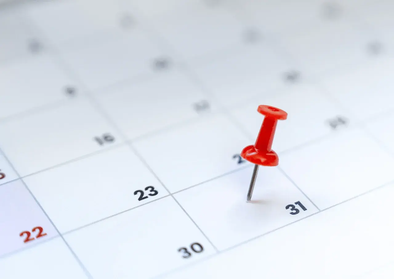 obowiązek złożenia deklaracji CIT8